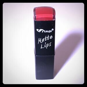 Amuse Lipstick Matte Long Lasting 7272 N-4 Lip Color Blush Stick Made In USA New